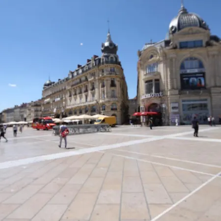 Montcalm Climatise En Plein Ecusson Apartment *